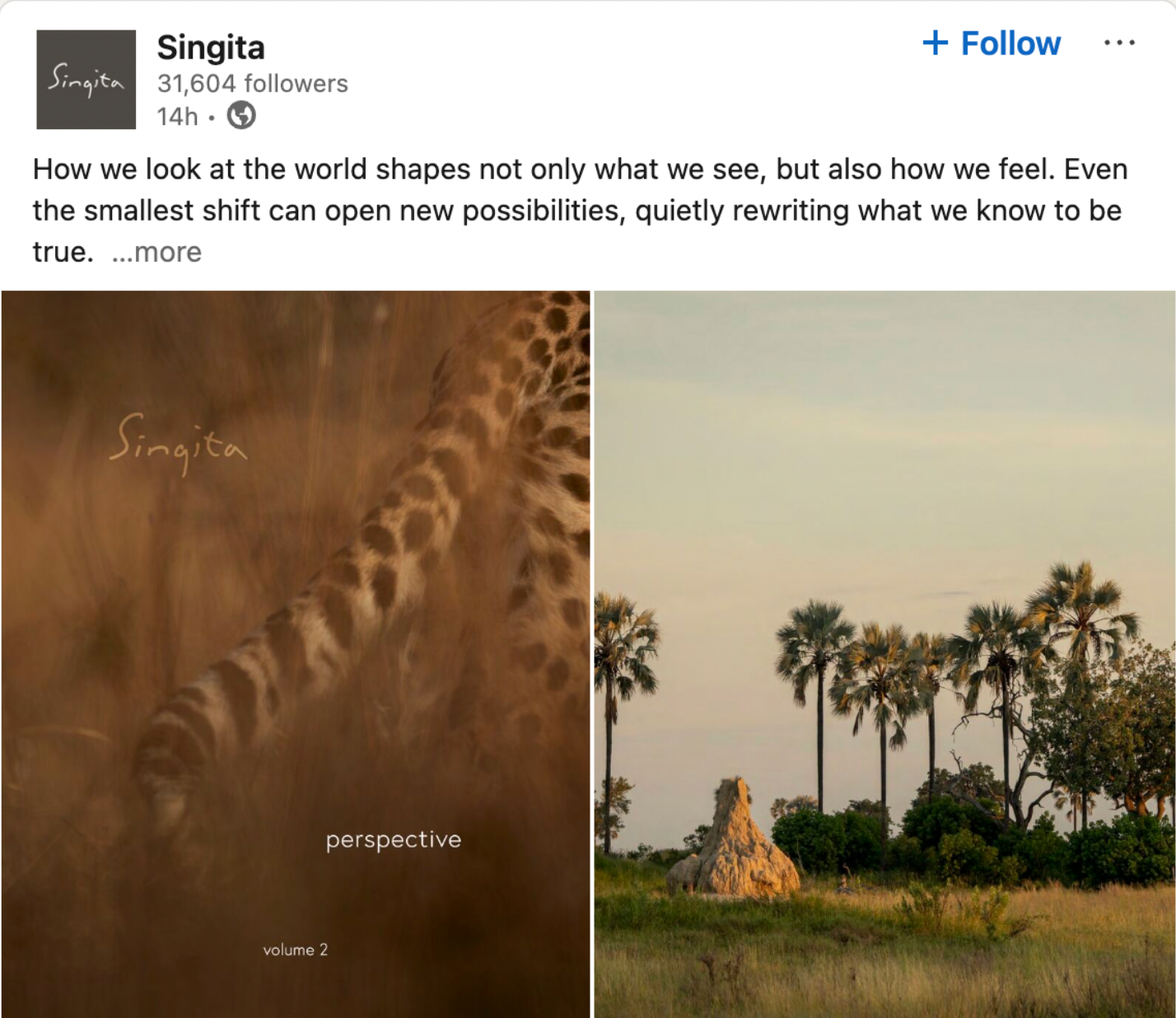 Singita